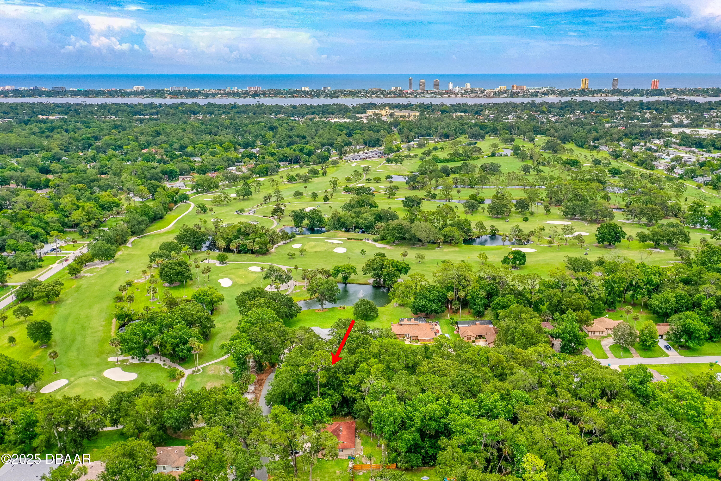 1 Timber Trail Holly Hill, FL 32174 - Photo 5 of 7