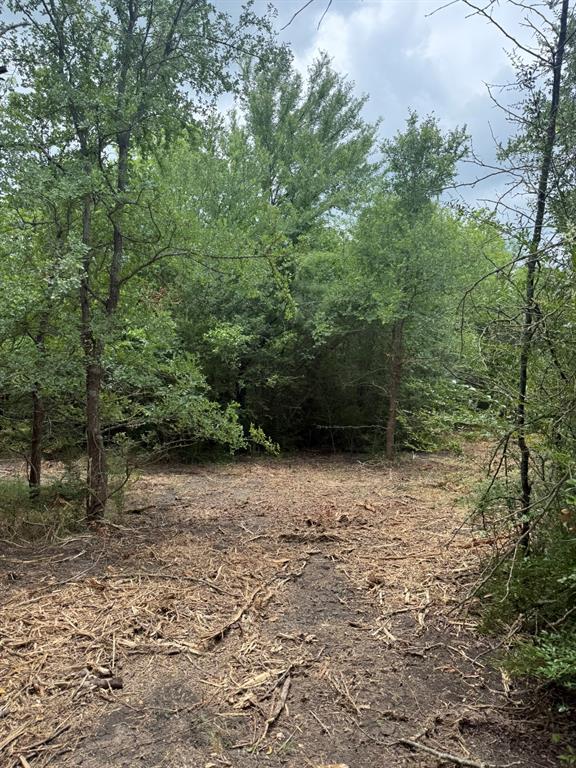 Tbd McKnight Road Ferris, TX 75125 - Photo 17 of 26