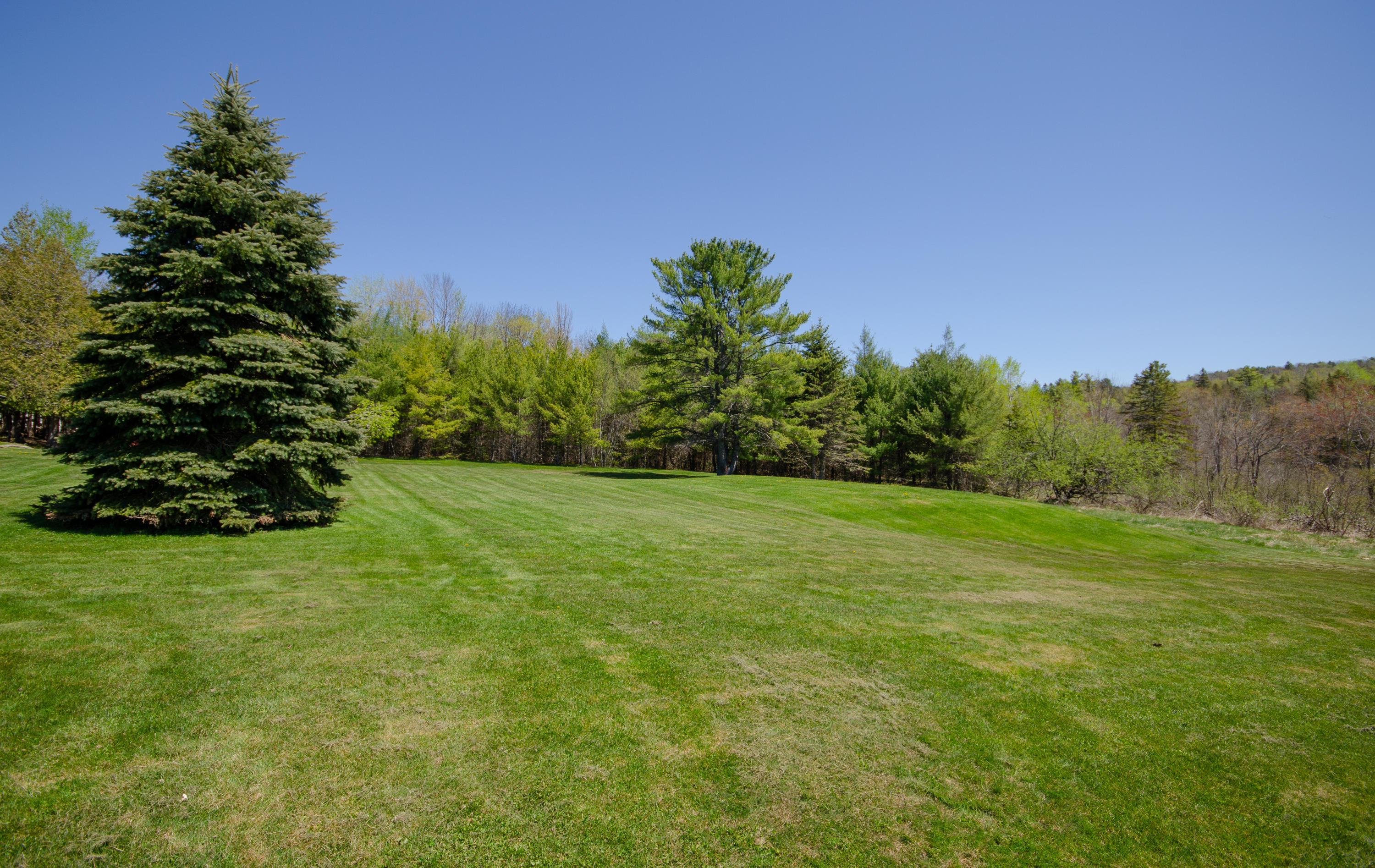 86 Fields Pond Road Holden, ME 04429 - Photo 6 of 32 Back Yard 1