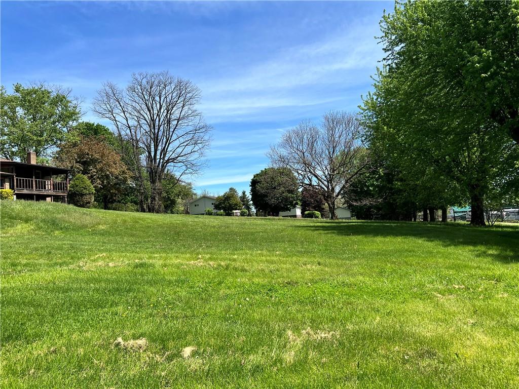 880 Pizza Barn Road Blairsville, PA 15717 - Photo 7 of 44 a view of a field with plants and trees