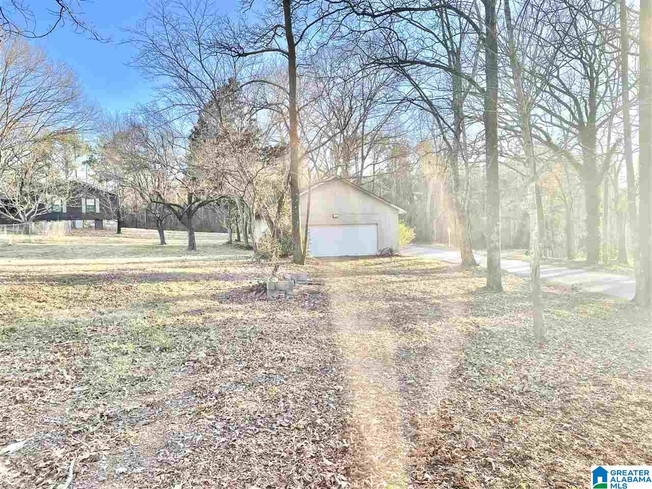 401 Brothers Avenue Wilsonville, AL 35186 - Photo 2 of 13