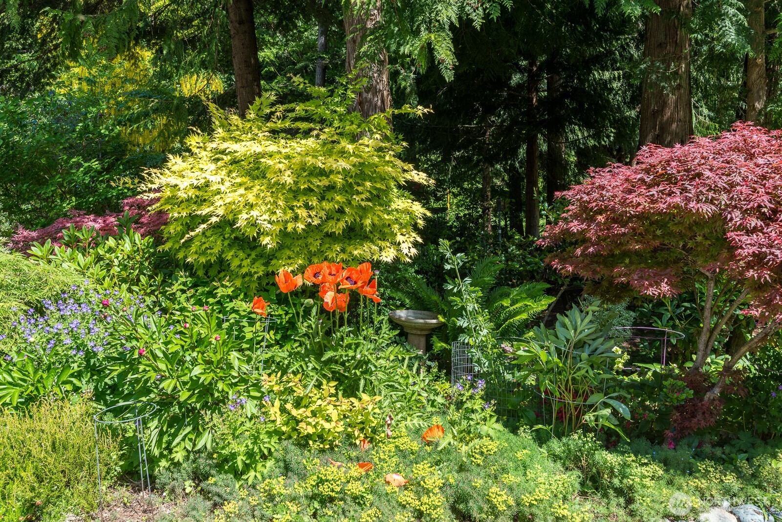 763 Arrowhead Road Camano Island, WA 98282 - Photo 40 of 40 Gallery Image 40