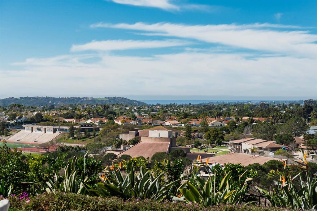 7915 Corte Penca Carlsbad, CA 92009 - Photo 46 of 60