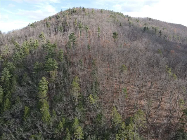 $249,900 | 119 North Cameron Ny 14819 North, Cameron, NY 14819