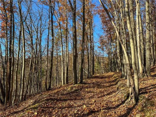 $249,900 | 119 North Cameron Ny 14819 North, Cameron, NY 14819