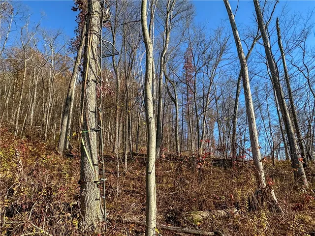 $249,900 | 119 North Cameron Ny 14819 North, Cameron, NY 14819