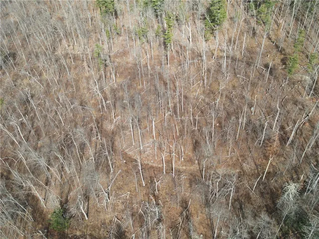 $249,900 | 119 North Cameron Ny 14819 North, Cameron, NY 14819