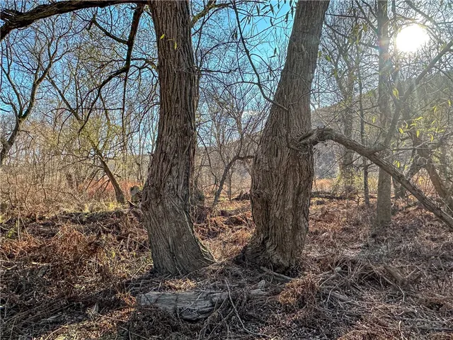 $249,900 | 119 North Cameron Ny 14819 North, Cameron, NY 14819