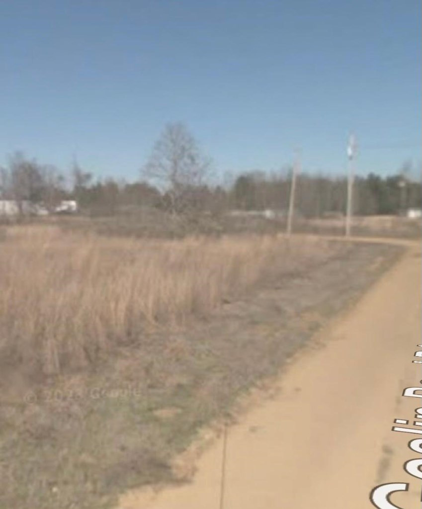 0 Goslin Pond Road Summerton, SC 29148 - Photo 3 of 4 Gallery Image 3