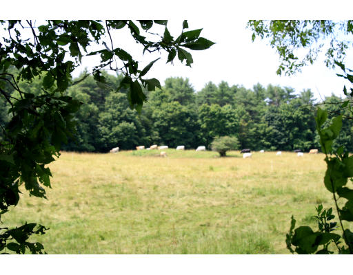 7 Waldingfield Road Ipswich, MA 01938 - Photo 8 of 12 a view of outdoor space and yard