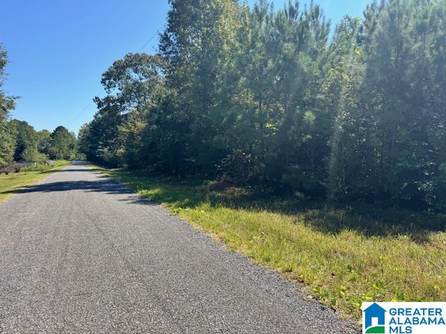 576 East R White Road, Unit 40 AC Lineville, AL 36266 - Photo 2 of 10