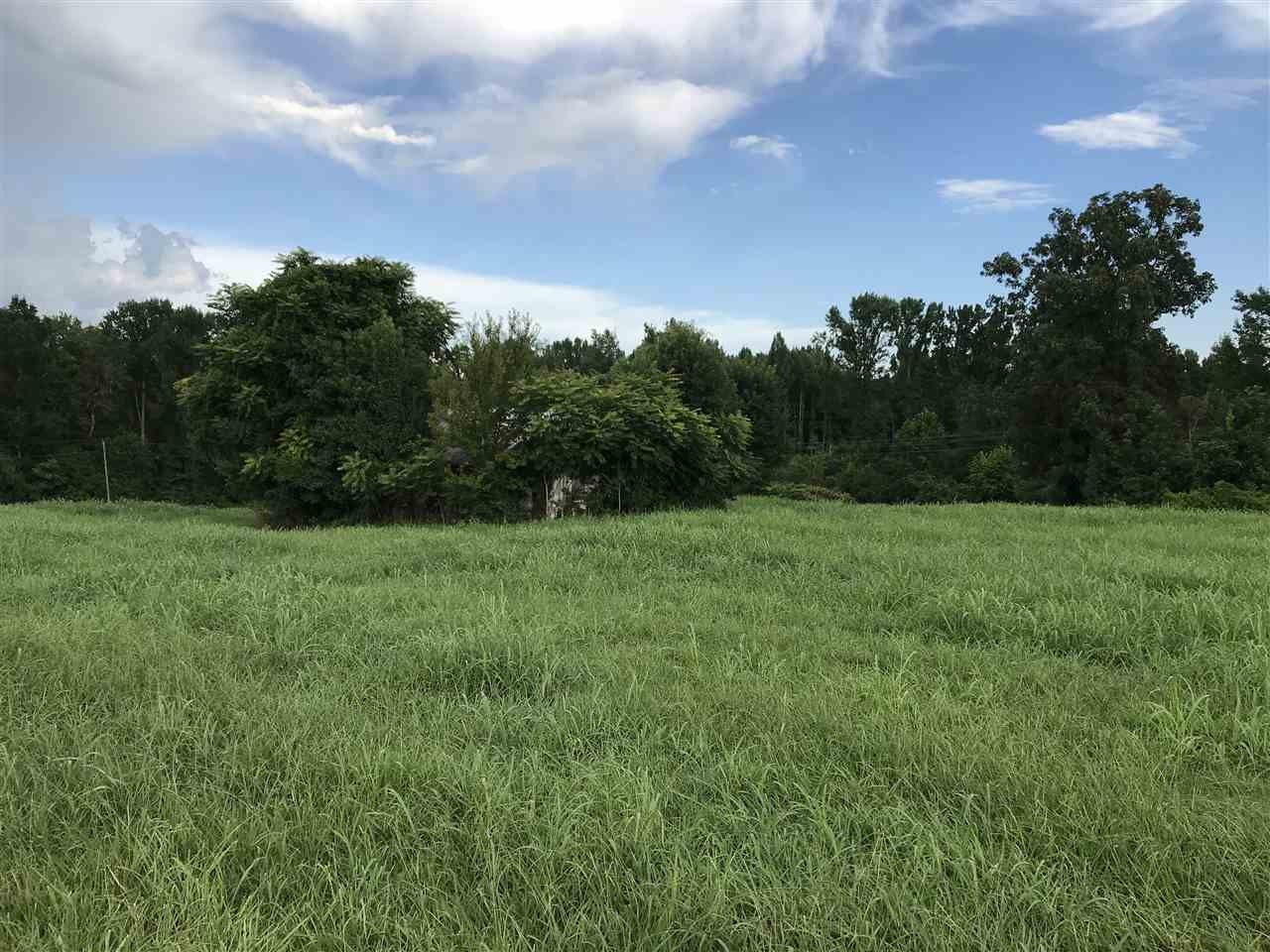 0 Hunters Trail Sweetwater, TN 37874 - Photo 9 of 12