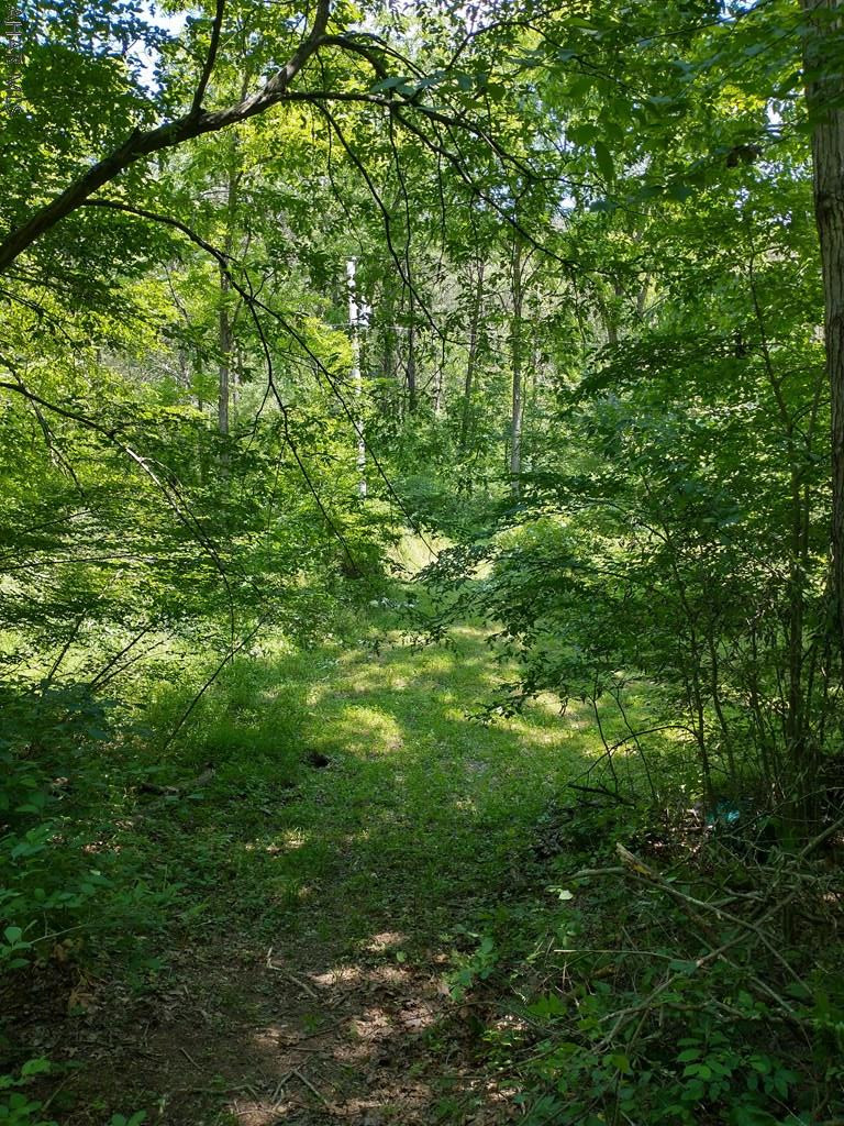 Off Smith Road Clearville, PA 15535 - Photo 35 of 47 a view of a lush green forest