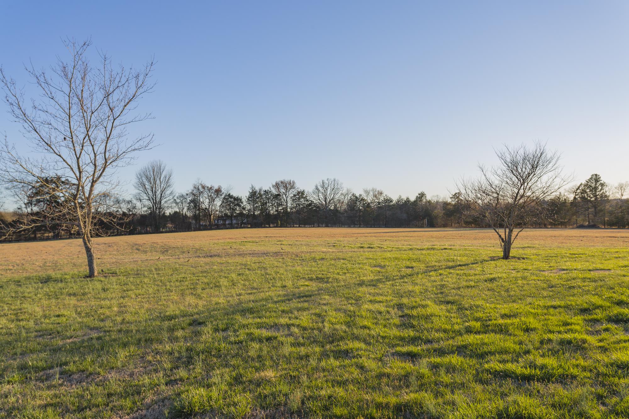 7768 Gum Puckett Road Murfreesboro, TN 37127 - Photo 21 of 27 9.72 acres of level land!! Oh what you can do here... Did I mention beautiful sunsets/sunrises? Star Gazing??