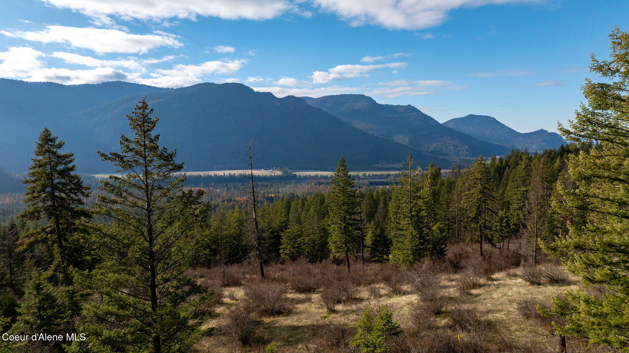 773 Cougar Loop Clark Fork, ID 83811 - Photo 2 of 13 DJI_0160