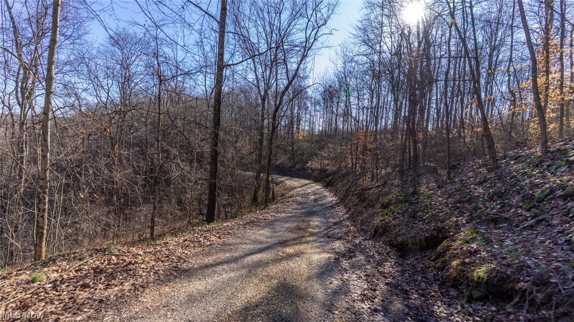 0 Clem Garvin Road Caldwell, OH 43724 - Photo 45 of 50 View of road with a wooded view