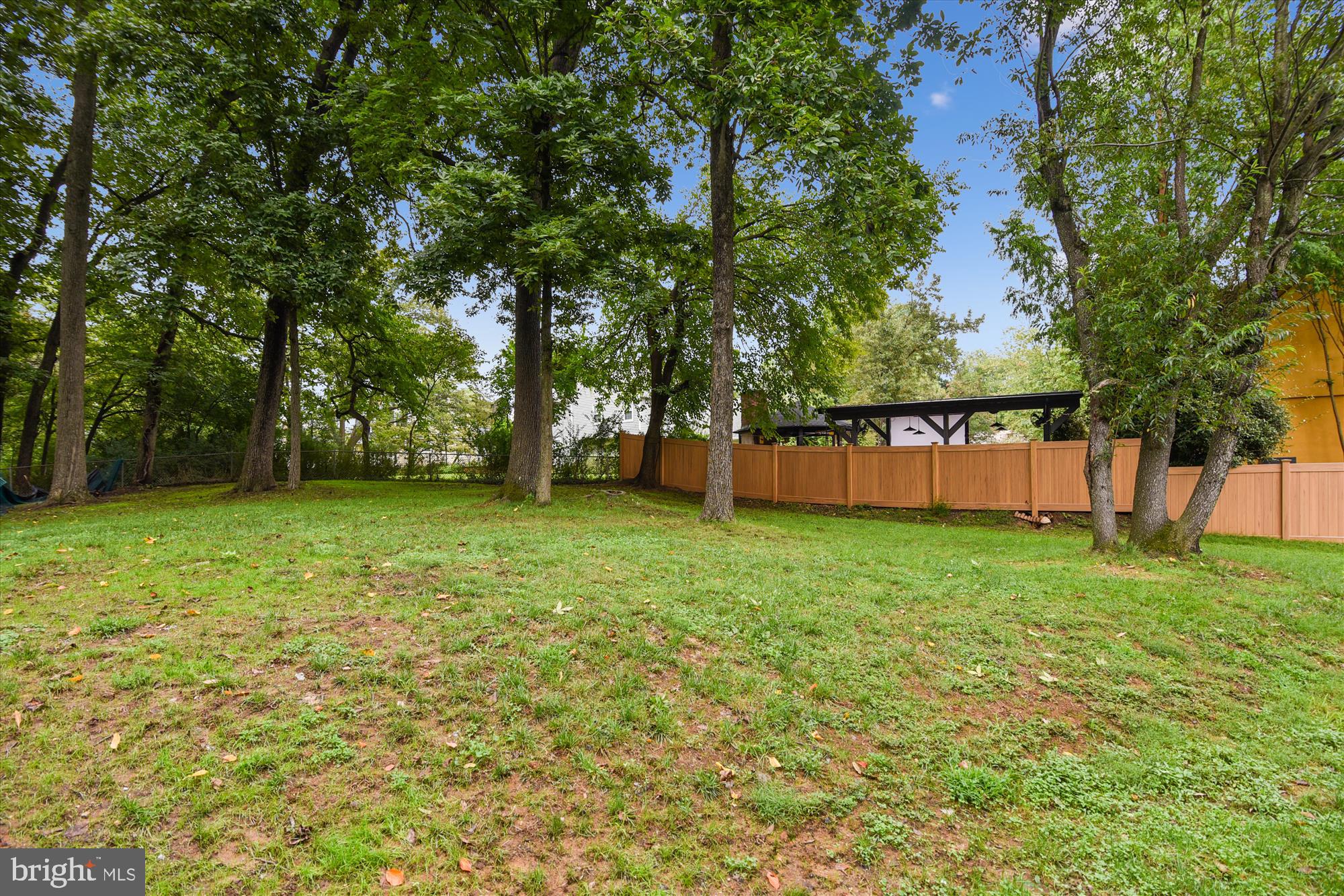 13621 Middlevale Lane Silver Spring, MD 20906 - Photo 22 of 25 a view of backyard with green space