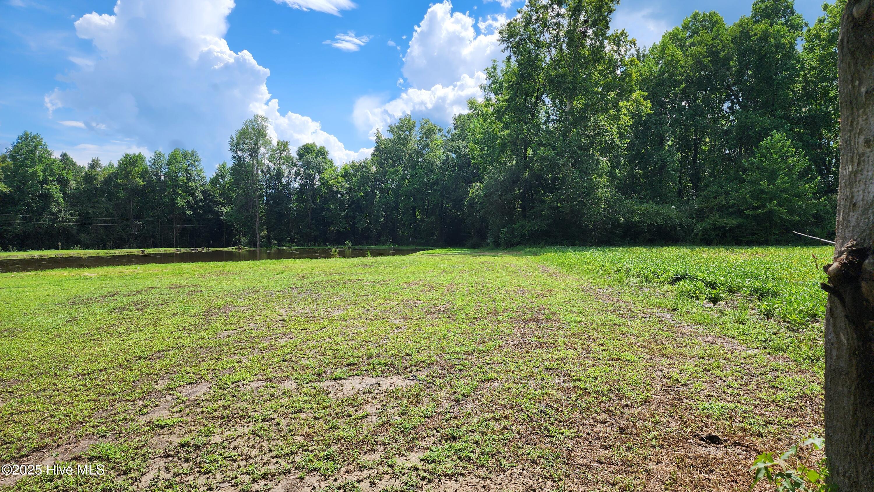 2999 Princess Ann Road Chadbourn, NC 28431 - Photo 2 of 4 20250813_153333
