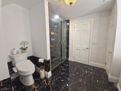 a bathroom with a toilet and a shower