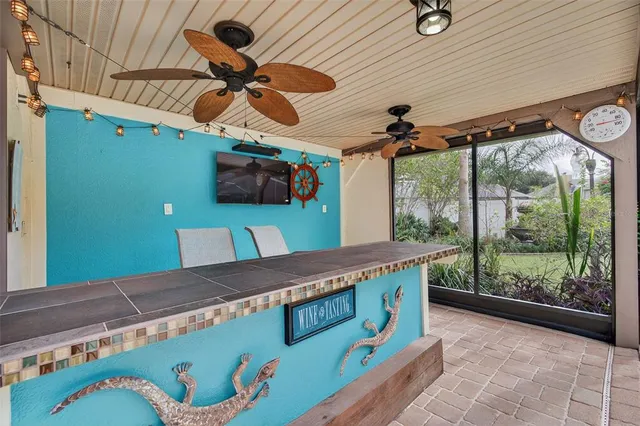 a view of a backyard