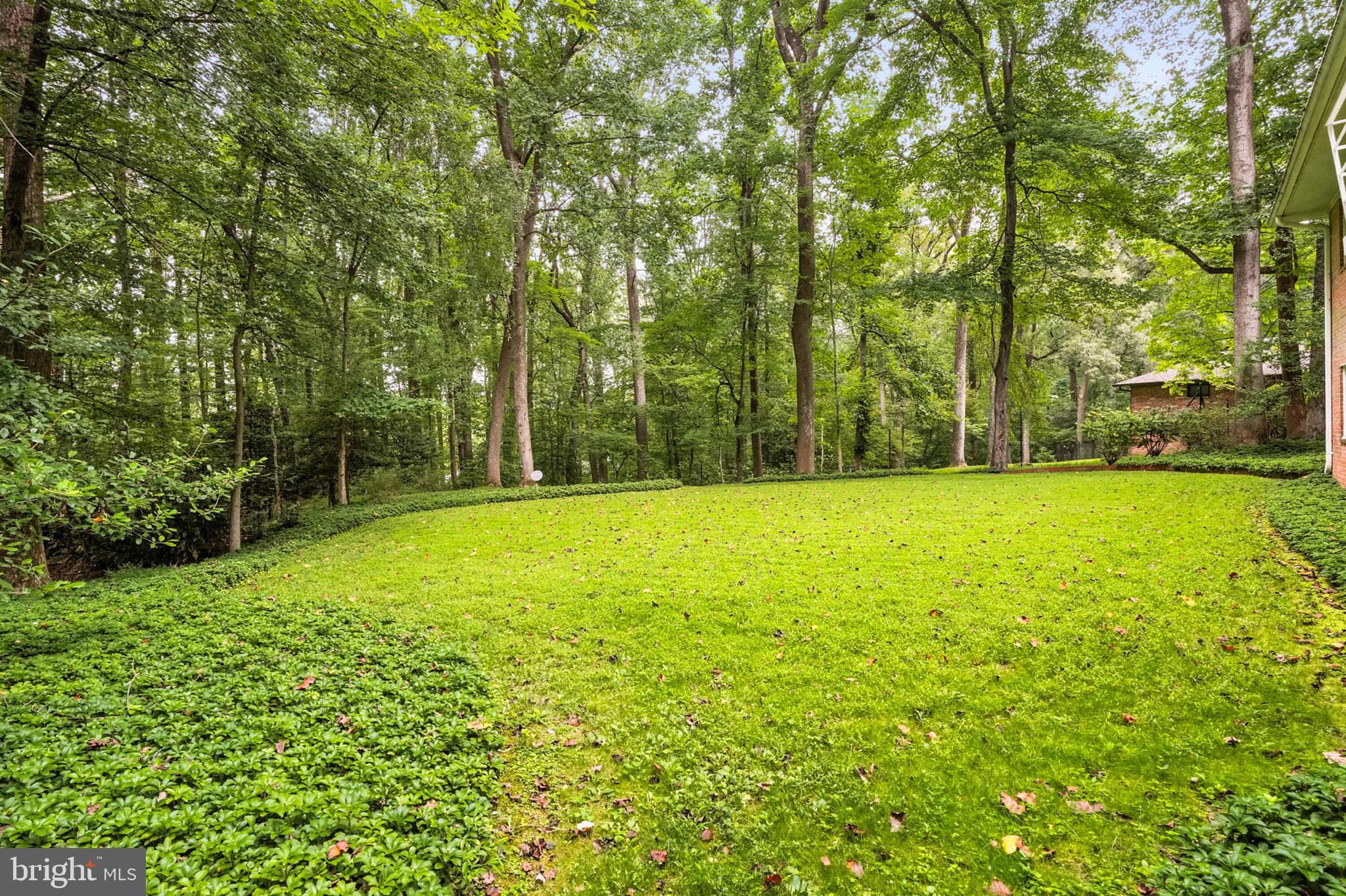213 Stonington Road Silver Spring, MD 20902 - Photo 45 of 54 Gallery Image 45