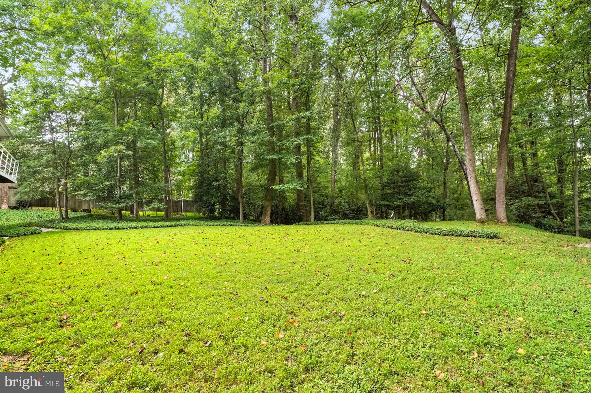 213 Stonington Road Silver Spring, MD 20902 - Photo 46 of 54 Gallery Image 46