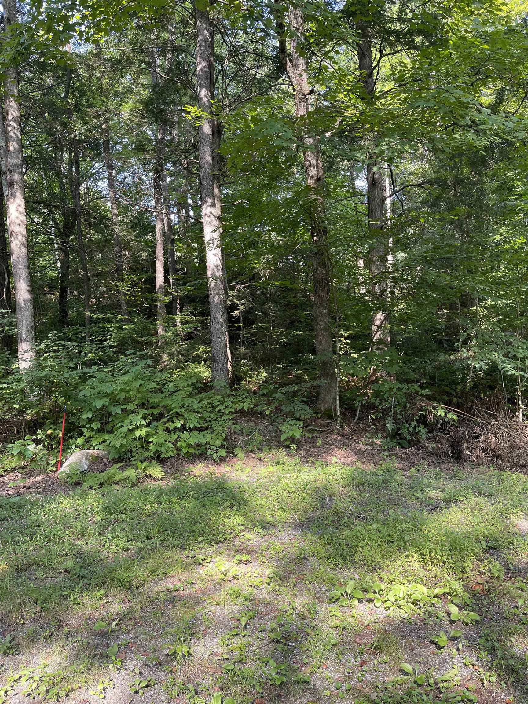 220 Keyes Hollow Road Lempster, NH 03605 - Photo 32 of 40
