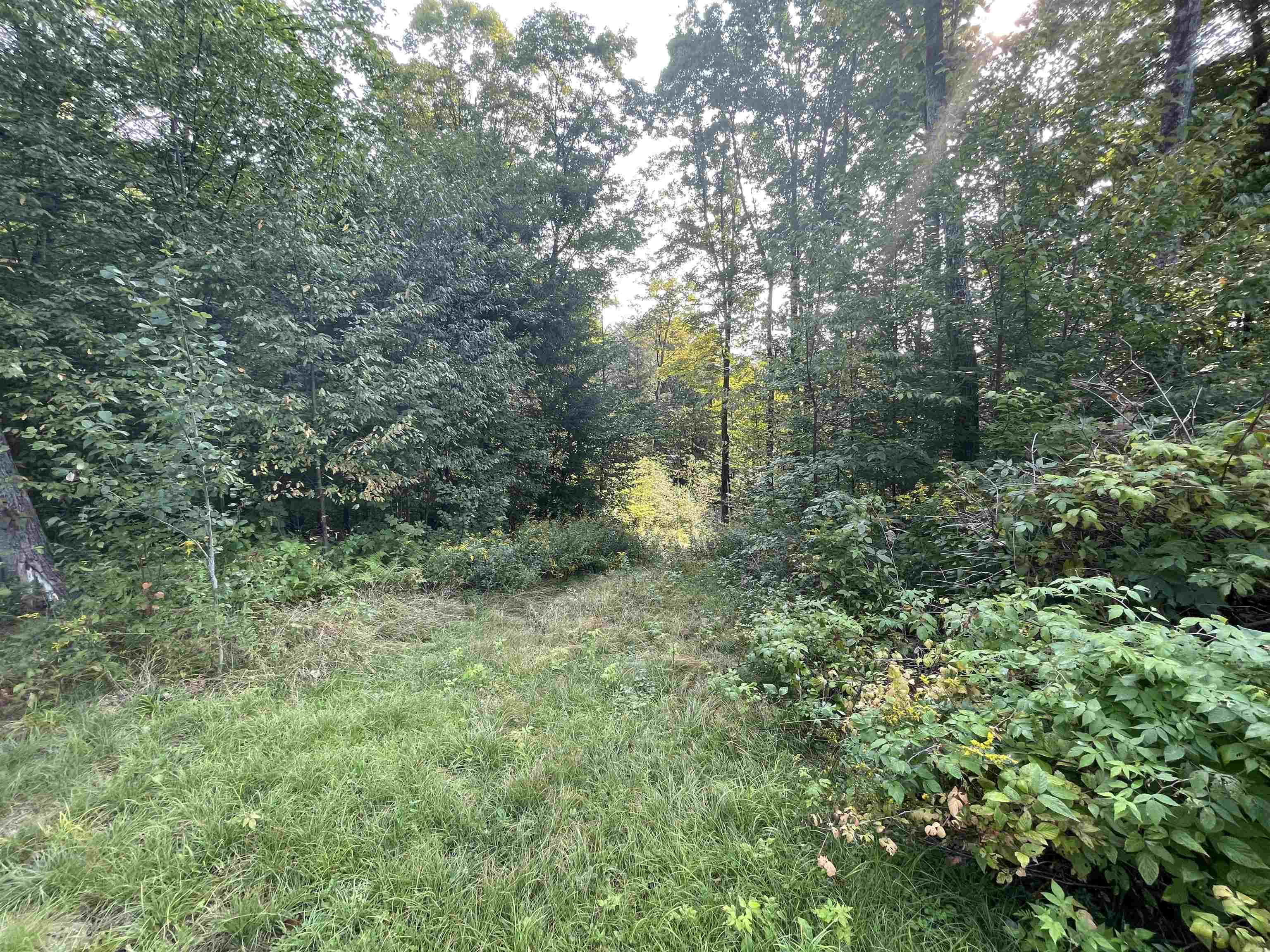 220 Keyes Hollow Road Lempster, NH 03605 - Photo 36 of 40