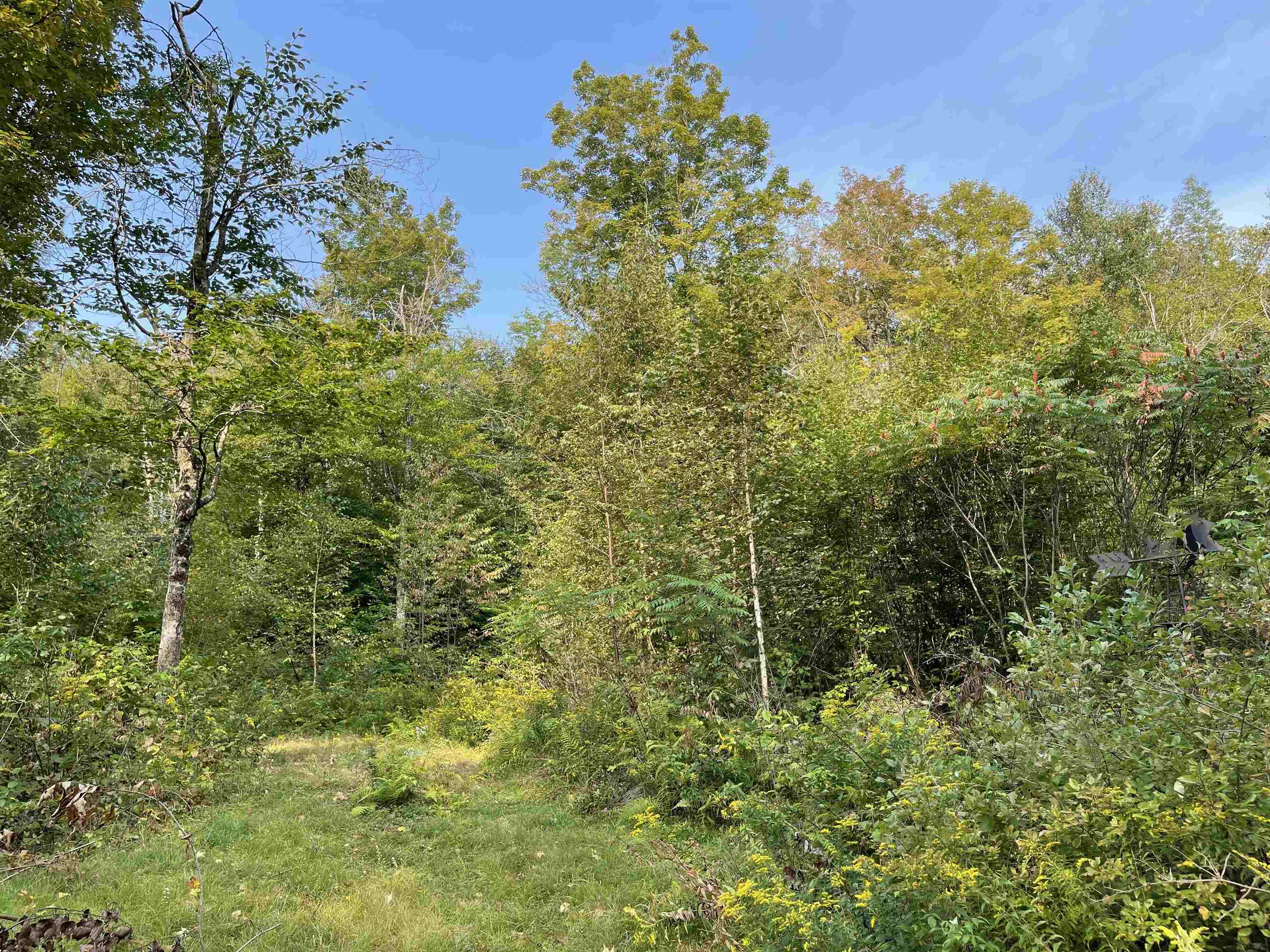 220 Keyes Hollow Road Lempster, NH 03605 - Photo 37 of 40