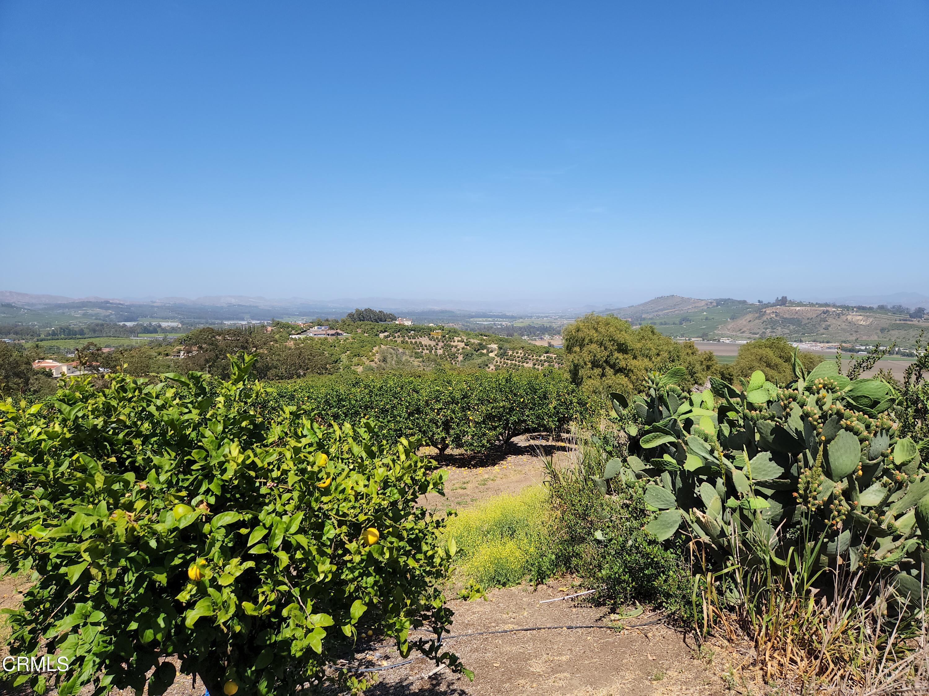 0 Groves Place Somis, CA 93066 - Photo 11 of 15 a view of a green field
