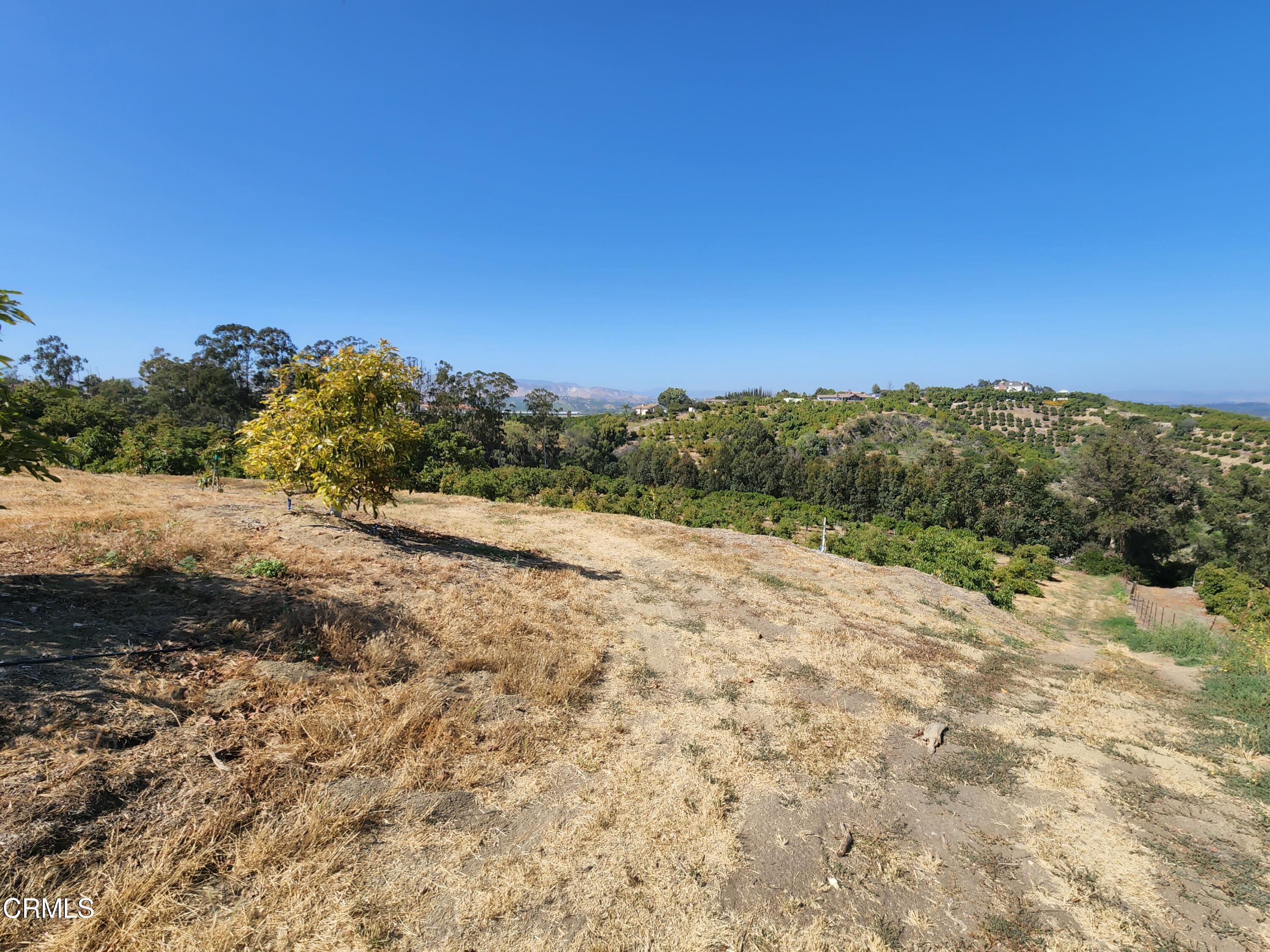 0 Groves Place Somis, CA 93066 - Photo 15 of 15 a view of a dry yard
