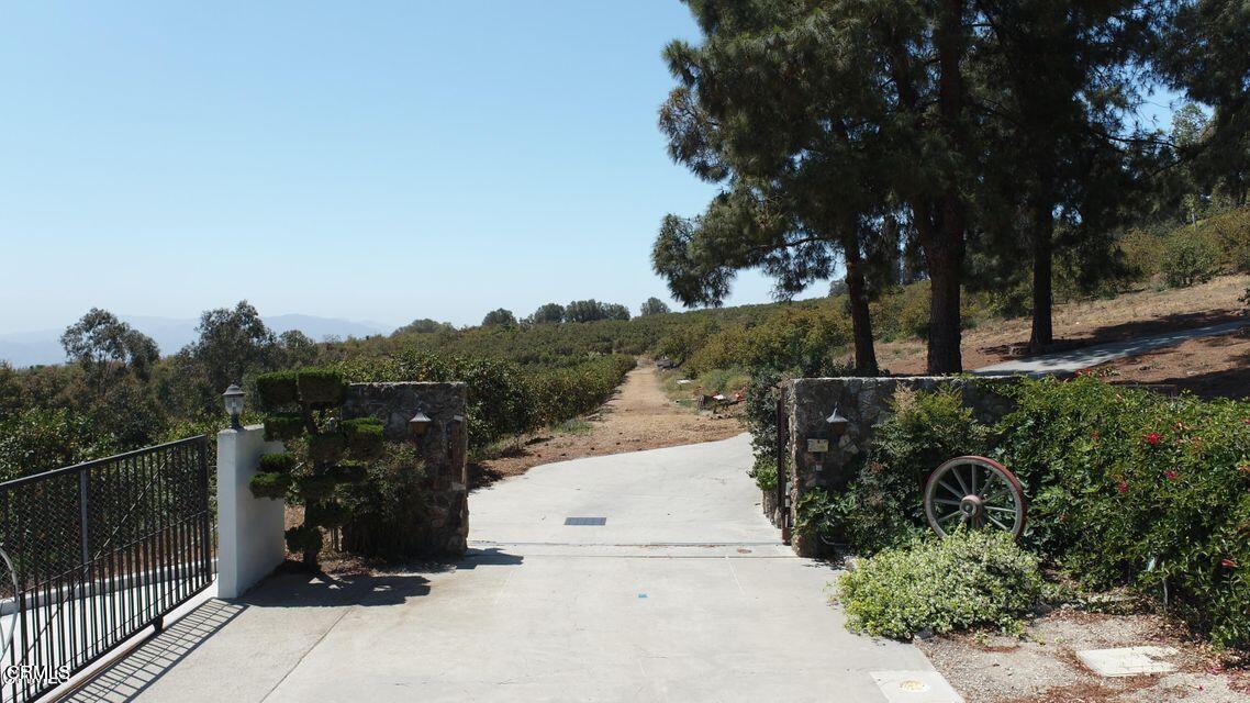 0 Groves Place Somis, CA 93066 - Photo 2 of 15 a view of a street with a tree in the background
