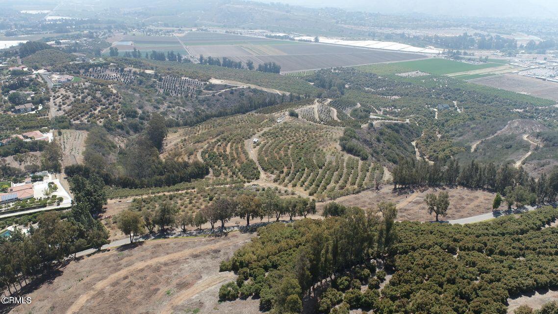 0 Groves Place Somis, CA 93066 - Photo 4 of 15 a view of a yard with an outdoor space