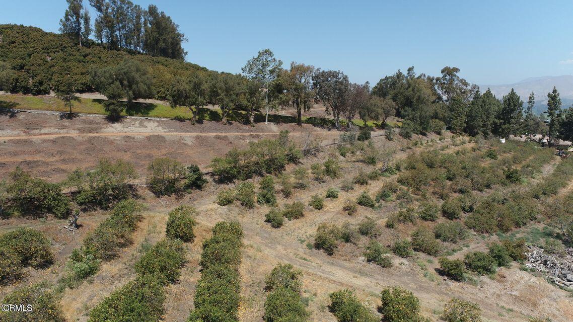 0 Groves Place Somis, CA 93066 - Photo 8 of 15 a view of a dry yard with trees