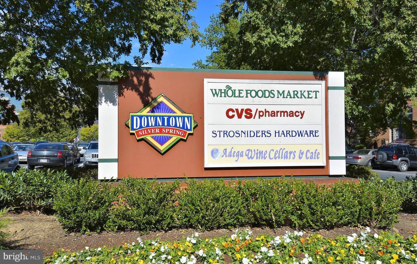 1320 Fenwick Lane, Unit 303 Silver Spring, MD 20910 - Photo 40 of 43