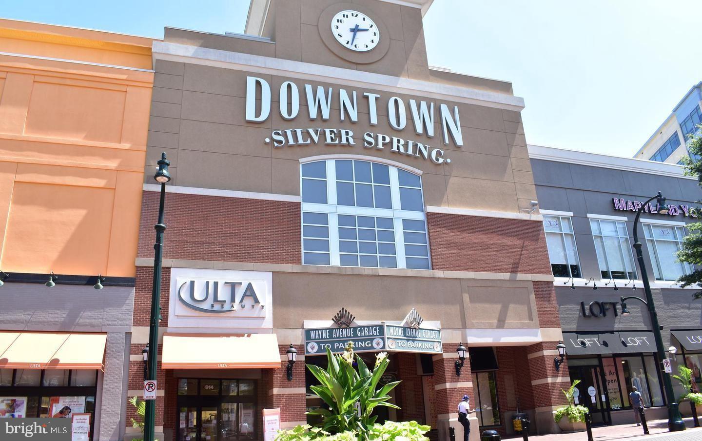 1320 Fenwick Lane, Unit 303 Silver Spring, MD 20910 - Photo 43 of 43
