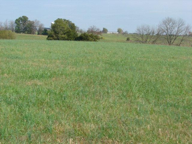 0 Ralph Park East Richmond, KY 40475 - Photo 29 of 37 Photo 29