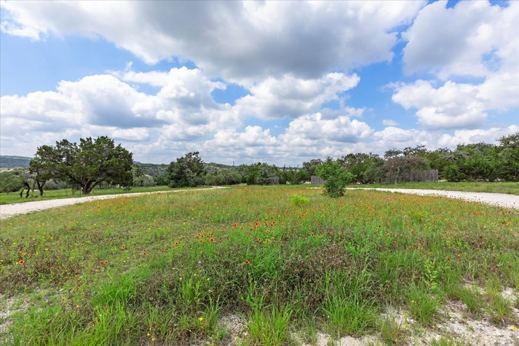 4946 Ranch Road Dripping Springs, TX 78620 - Photo 63 of 64 Wildflowers