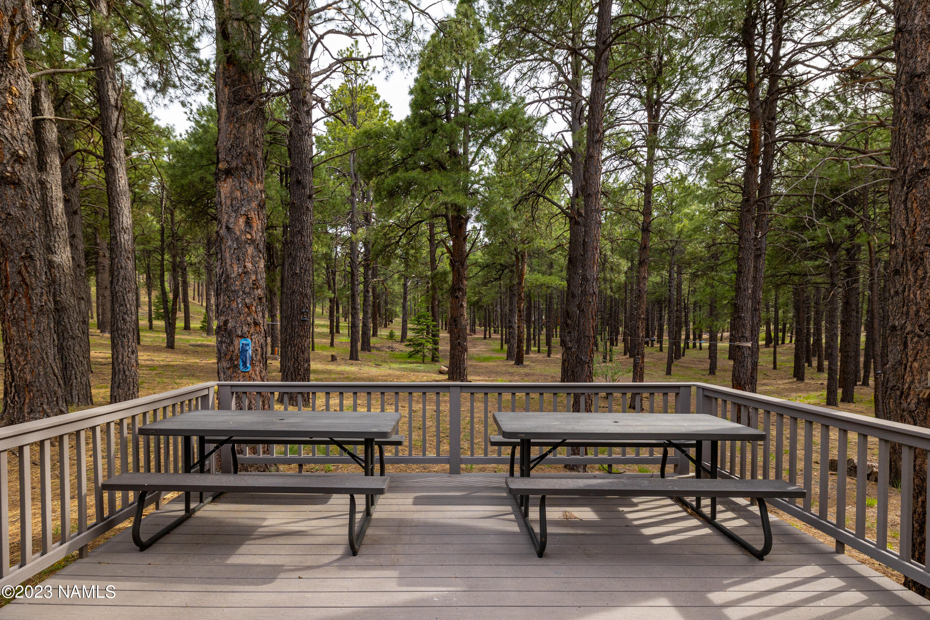 1842 Deer Pass Road Williams, AZ 86046 - Photo 48 of 109 CP-9