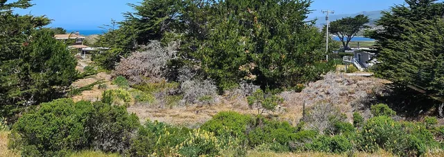 $599,000 | 320 Driftwood Avenue, Bodega Bay, CA 94923