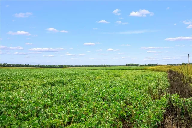 $94,500 | 44 Smasal Road, Sedalia, MO 65301