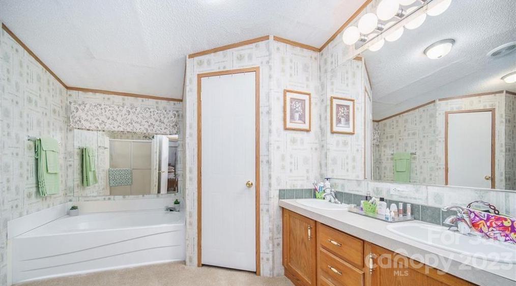 713 Bailey Sawmill Road Ruby, SC 29741 - Photo 8 of 30 a bath room with a sink vanity tub and a mirror