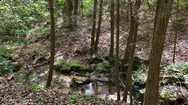 9607 Barbee Road Soddy-Daisy, TN 37379 - Photo 10 of 22