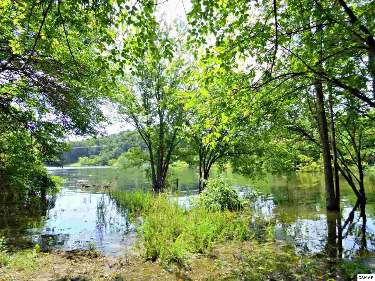 12 Ernie Roberts Road Rutledge, TN 37861 - Photo 3 of 32 Gallery Image 3