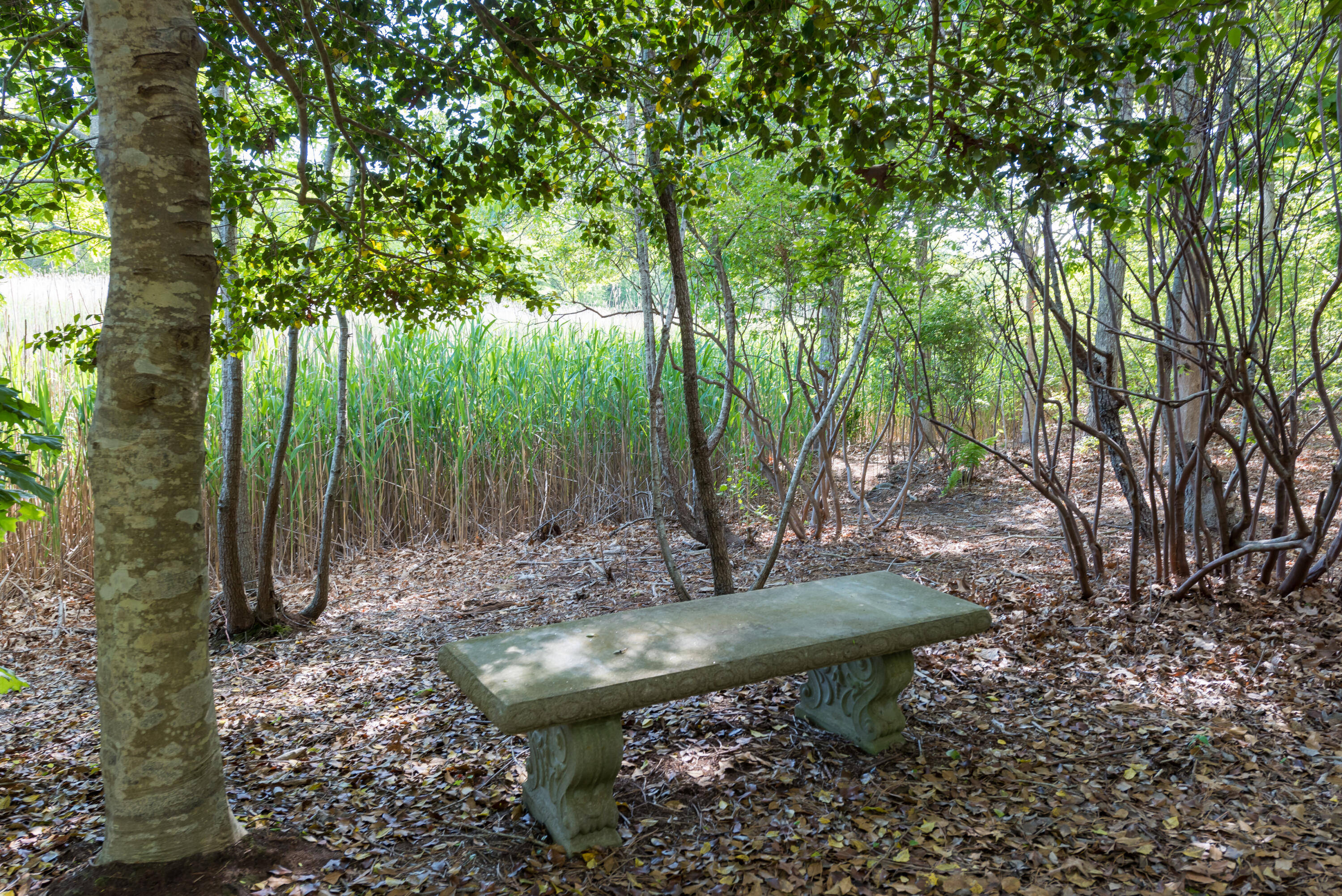 180 Riverview Lane Centerville, MA 02632 - Photo 49 of 55 a garden view with a seating space