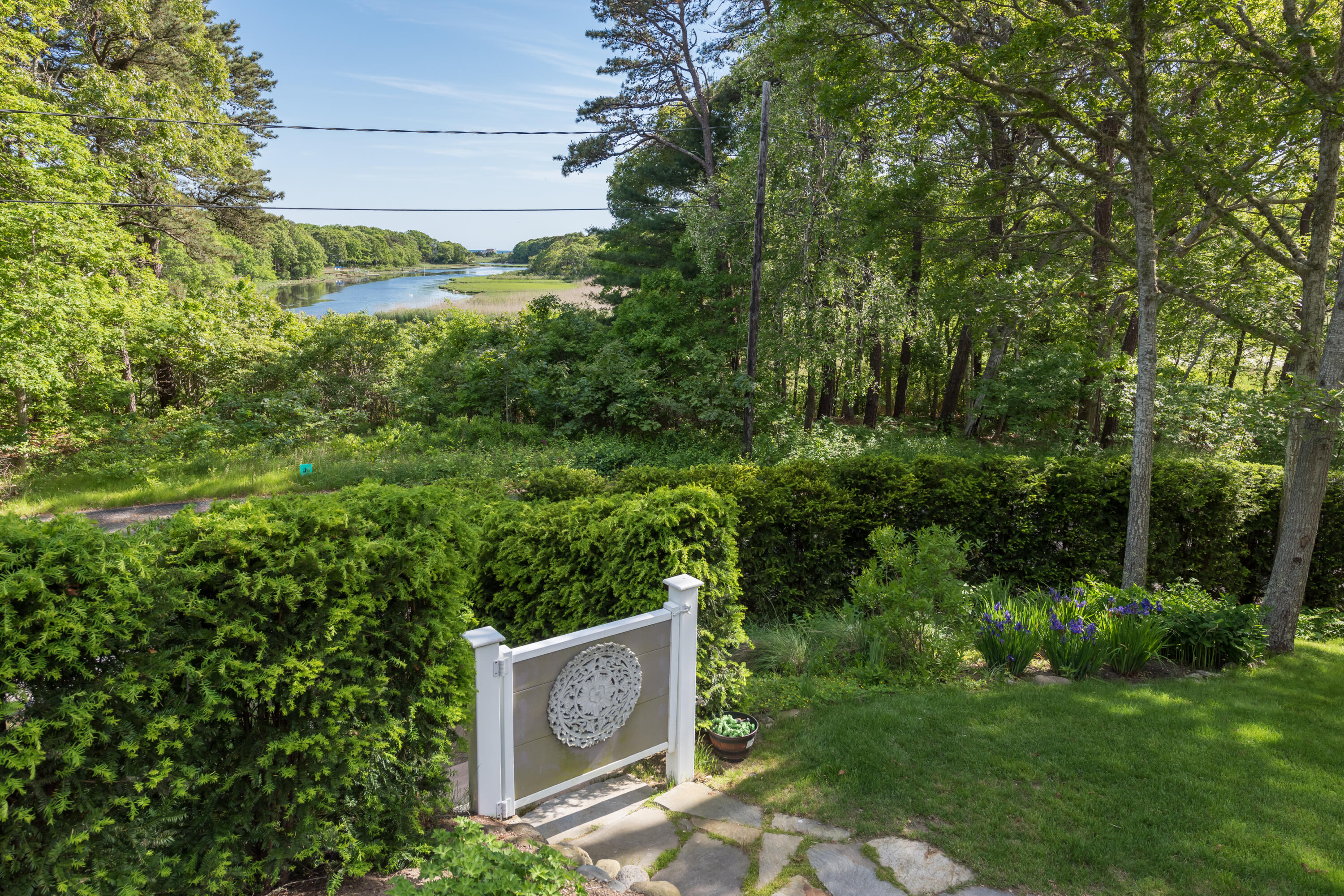 180 Riverview Lane Centerville, MA 02632 - Photo 7 of 55 a view of a forest with a trees