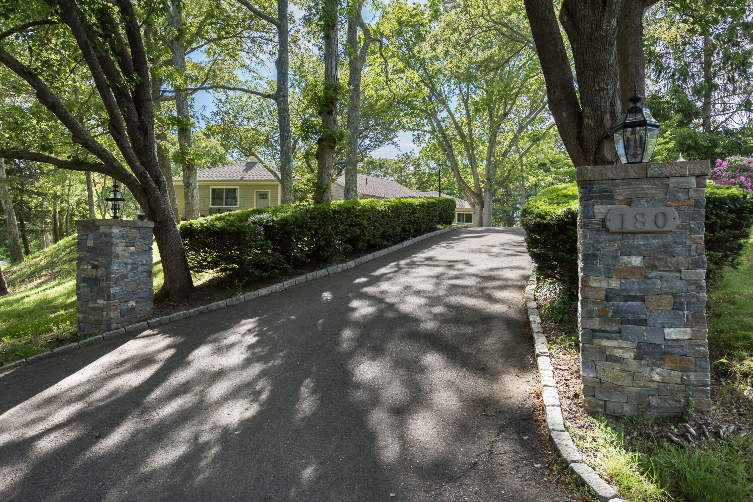 180 Riverview Lane Centerville, MA 02632 - Photo 8 of 55 a view of a yard with plants and trees