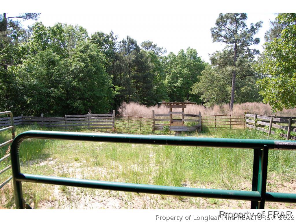 761 Pats Road Vass, NC 28394 - Photo 20 of 23 Gallery Image 20