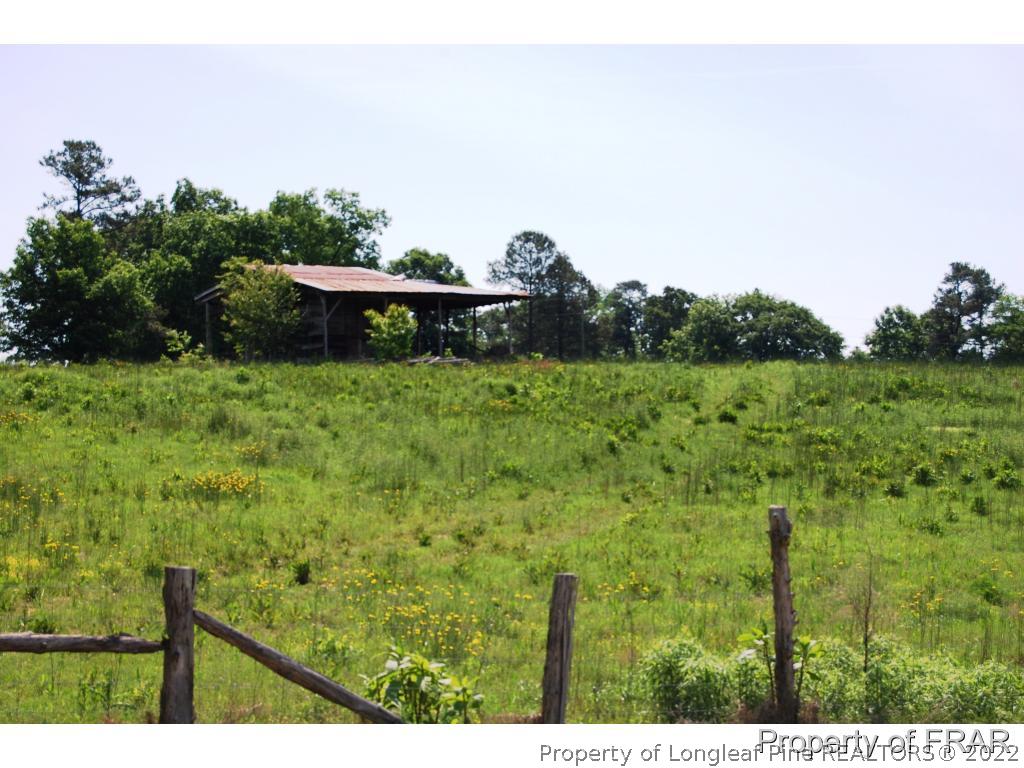761 Pats Road Vass, NC 28394 - Photo 21 of 23 Gallery Image 21