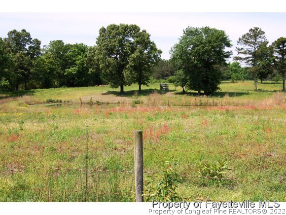 761 Pats Road Vass, NC 28394 - Photo 23 of 23 Gallery Image 23